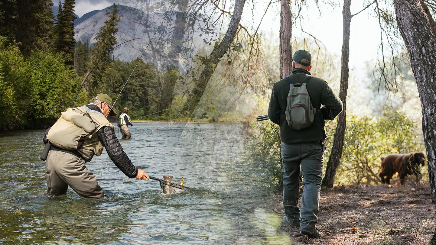 Découvrez nos forfaits