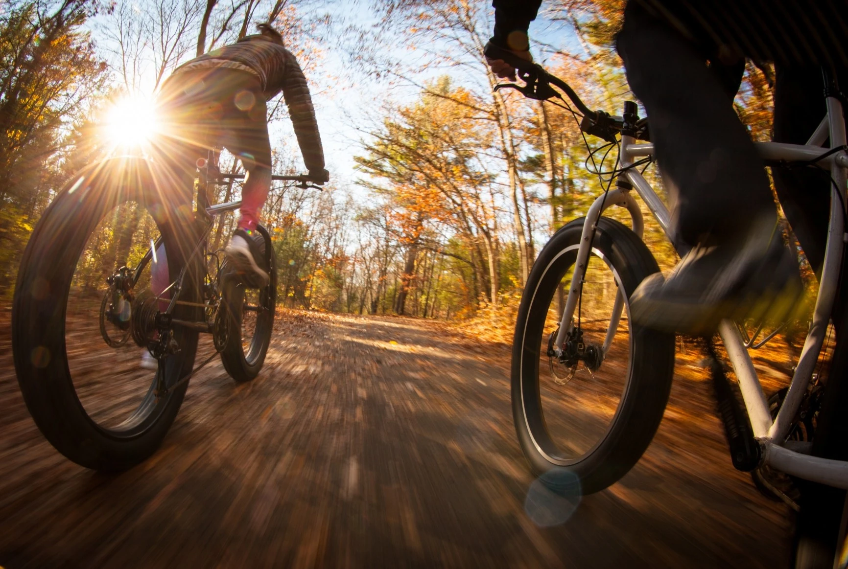 Explorez l'été sur deux  ou quatre roues