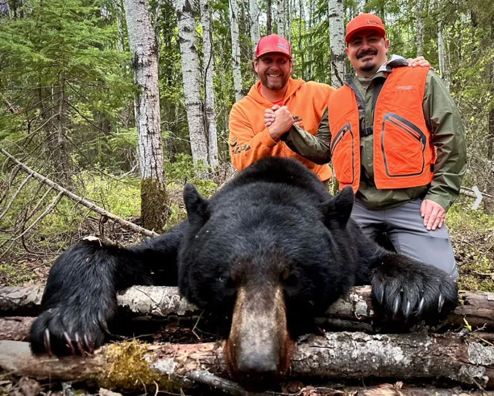 Rencontre avec l'ours noir