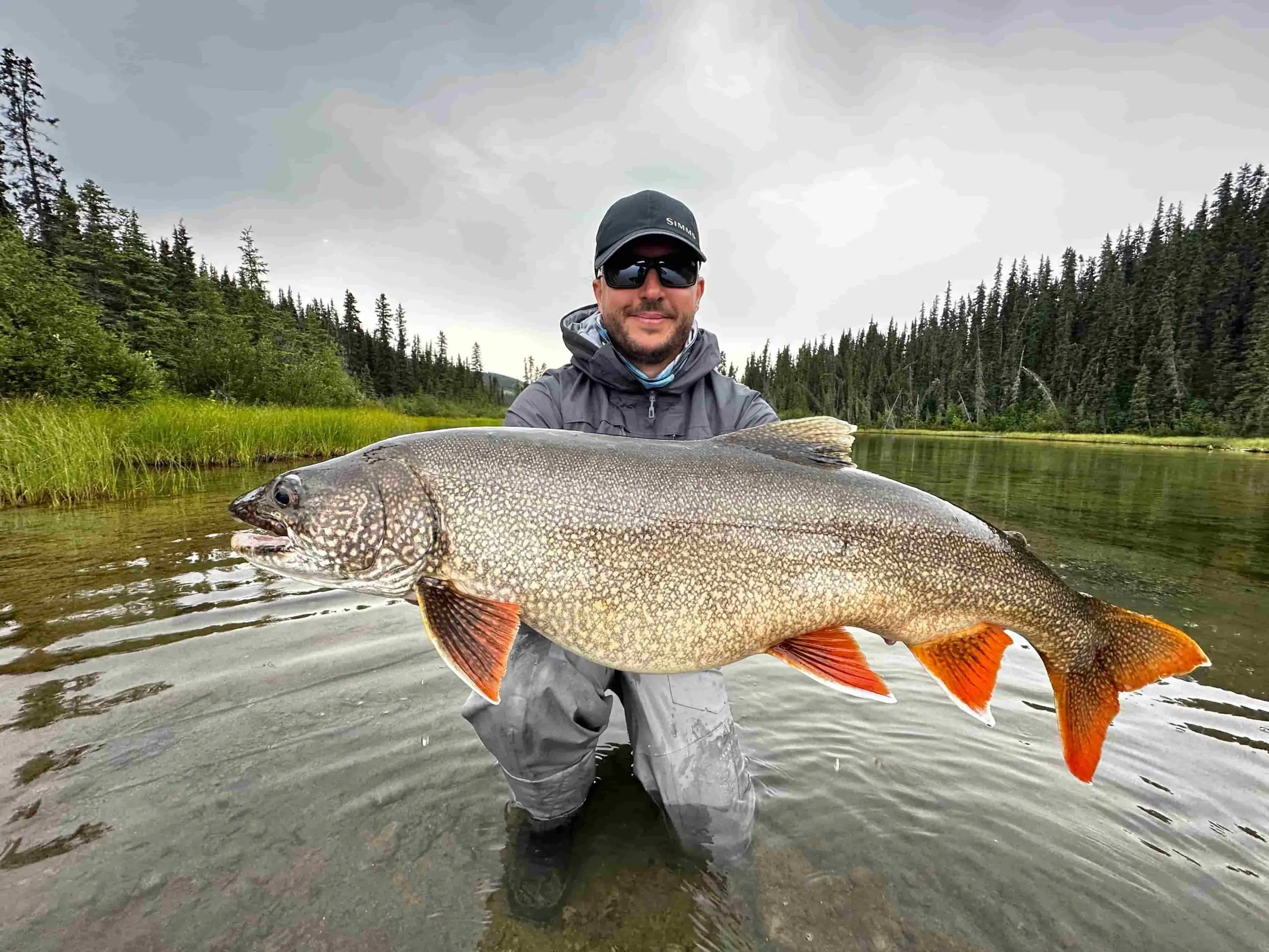 Capturez l’instant parfait