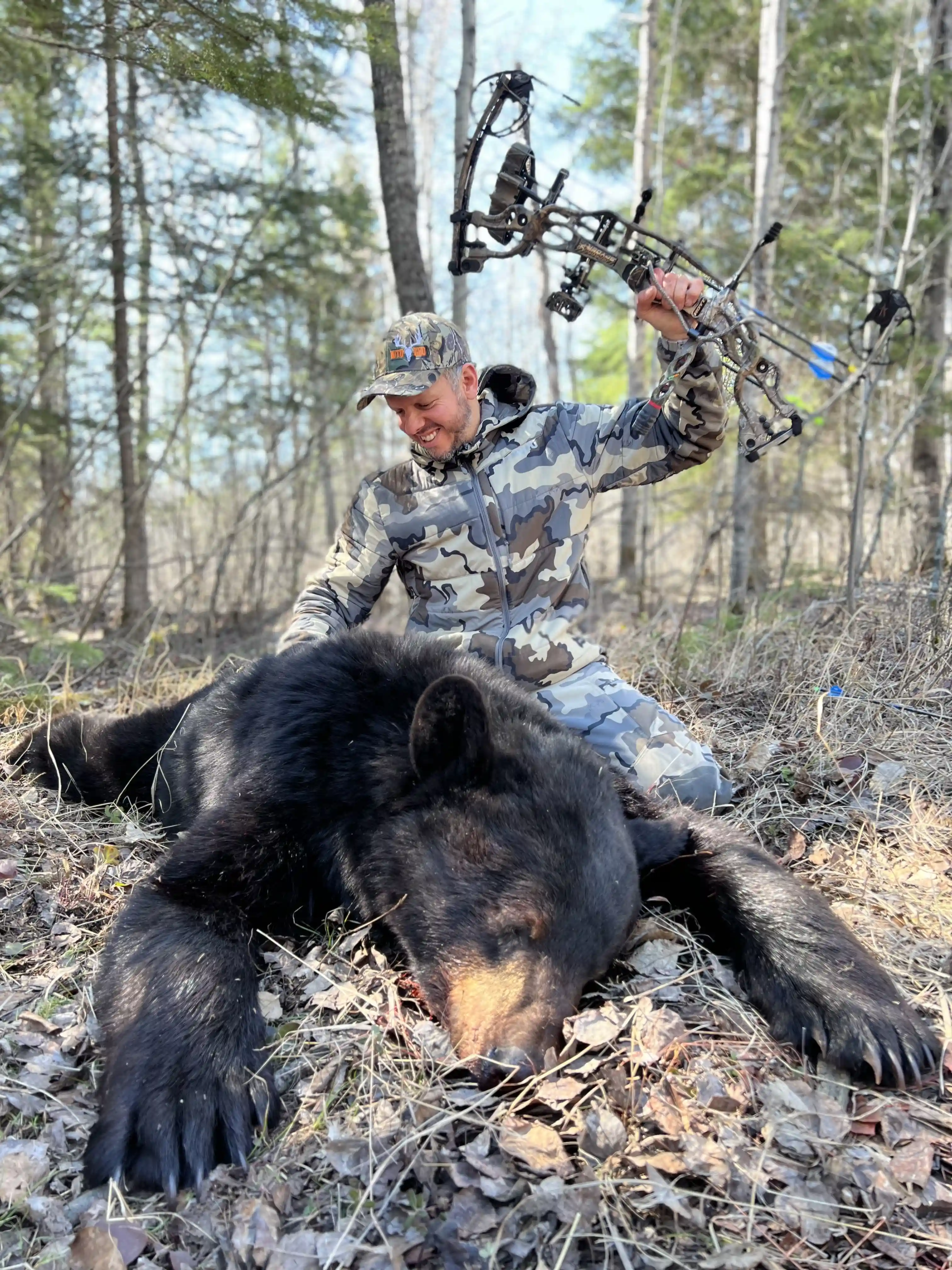 COMBO OURS ET OISEAUX MIGRATEURS
