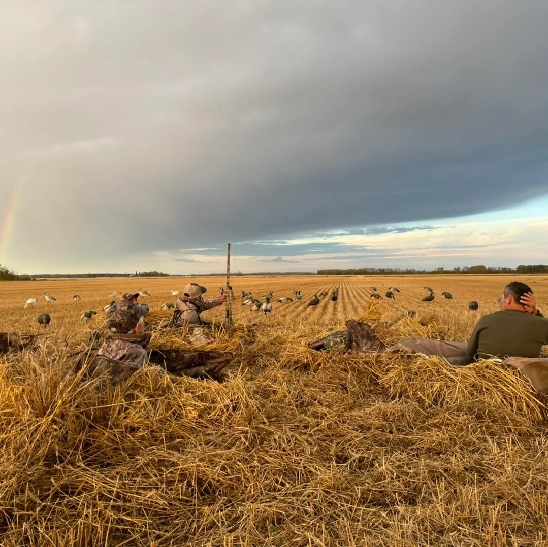 Chasse aux oiseaux migrateurs en Saskatchewan — 1