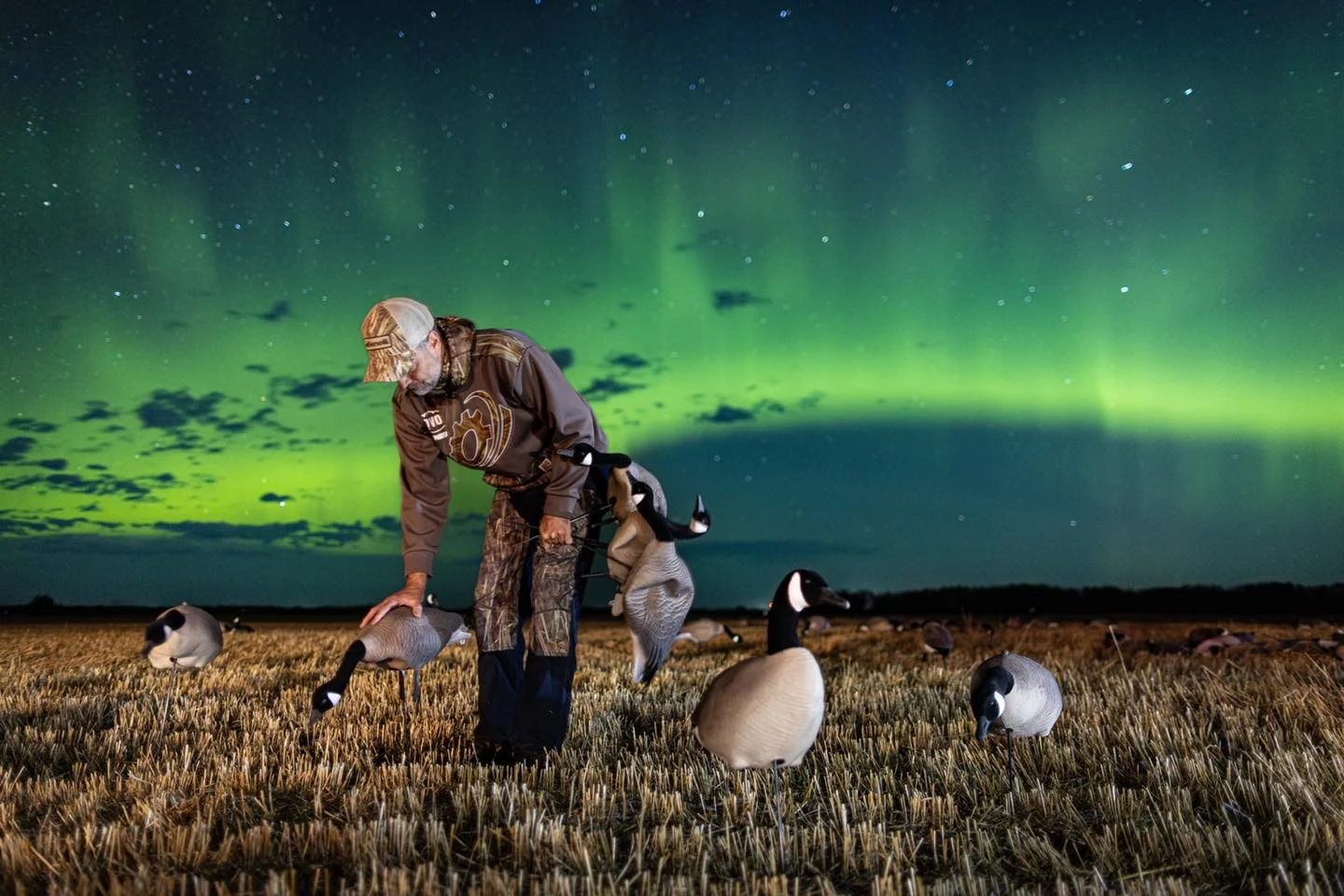 Chasse aux oiseaux migrateurs en Saskatchewan — 13