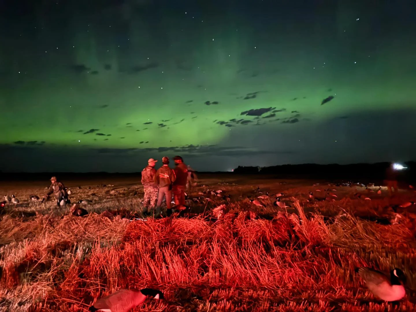 Chasse aux oiseaux migrateurs en Saskatchewan — 14