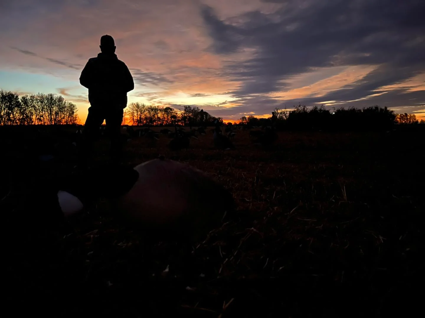 Chasse aux oiseaux migrateurs en Saskatchewan — 4