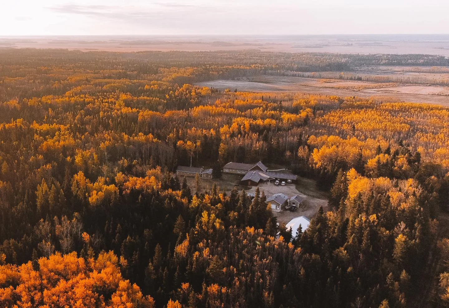 Chasse aux oiseaux migrateurs en Saskatchewan — 5