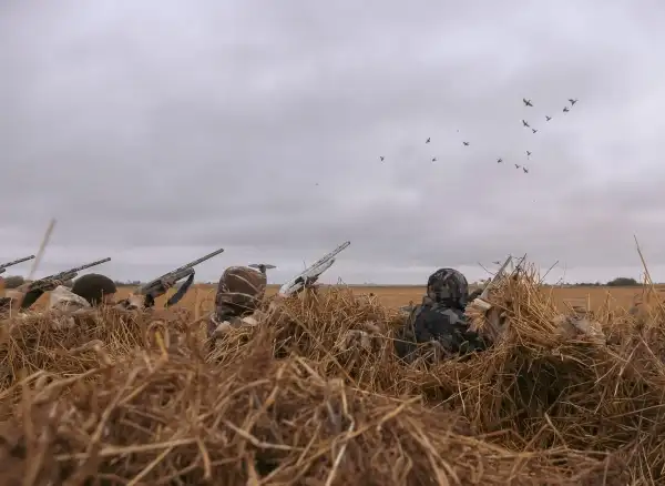 Chasse aux oiseaux migrateurs en Saskatchewan : l'expérience Mitik au cœur du plus grand couloir du Canada